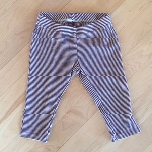 Tea Striped Leggings